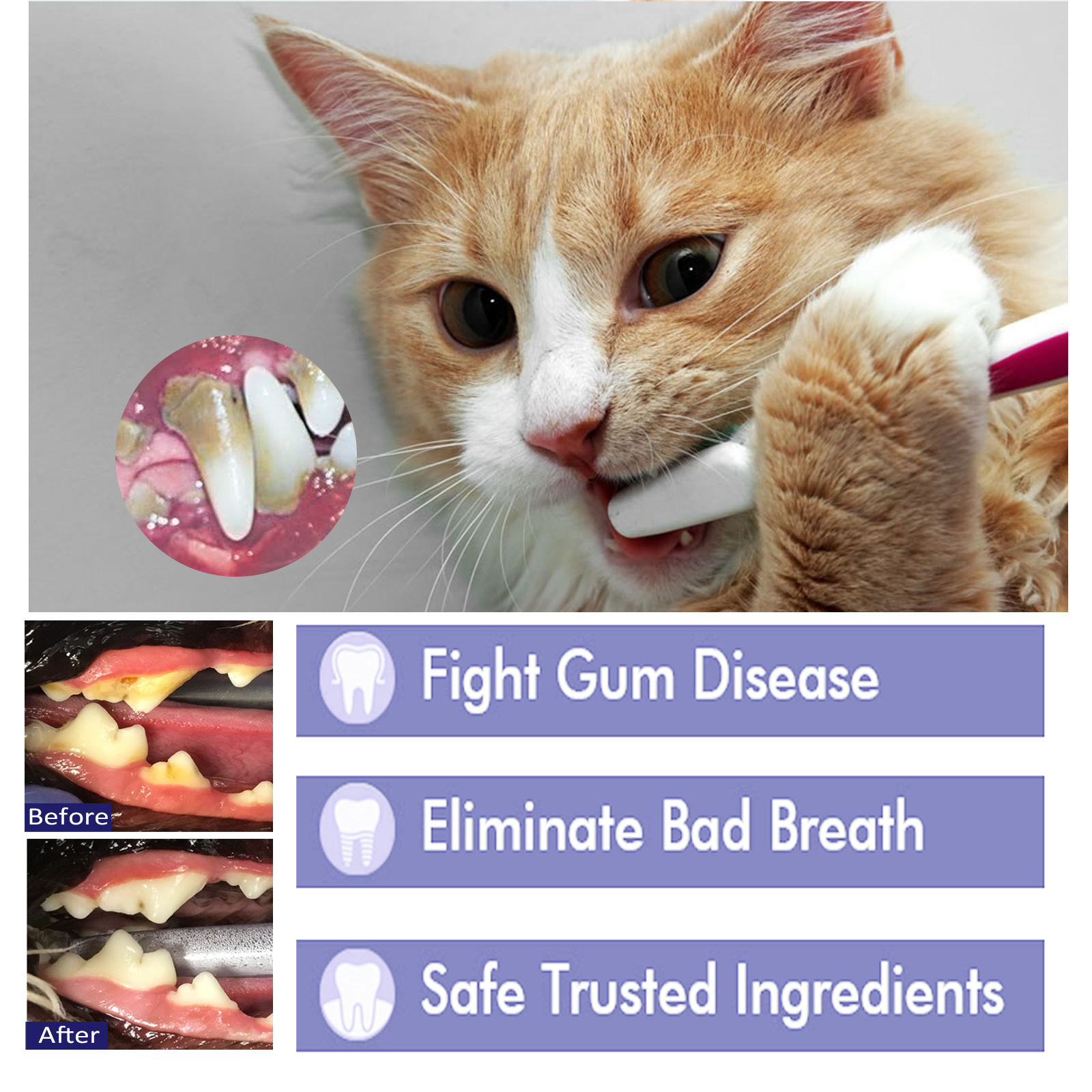 Pet Toothpaste Reduce Tartar R - Teeth Whitening Cream のレビューと価格