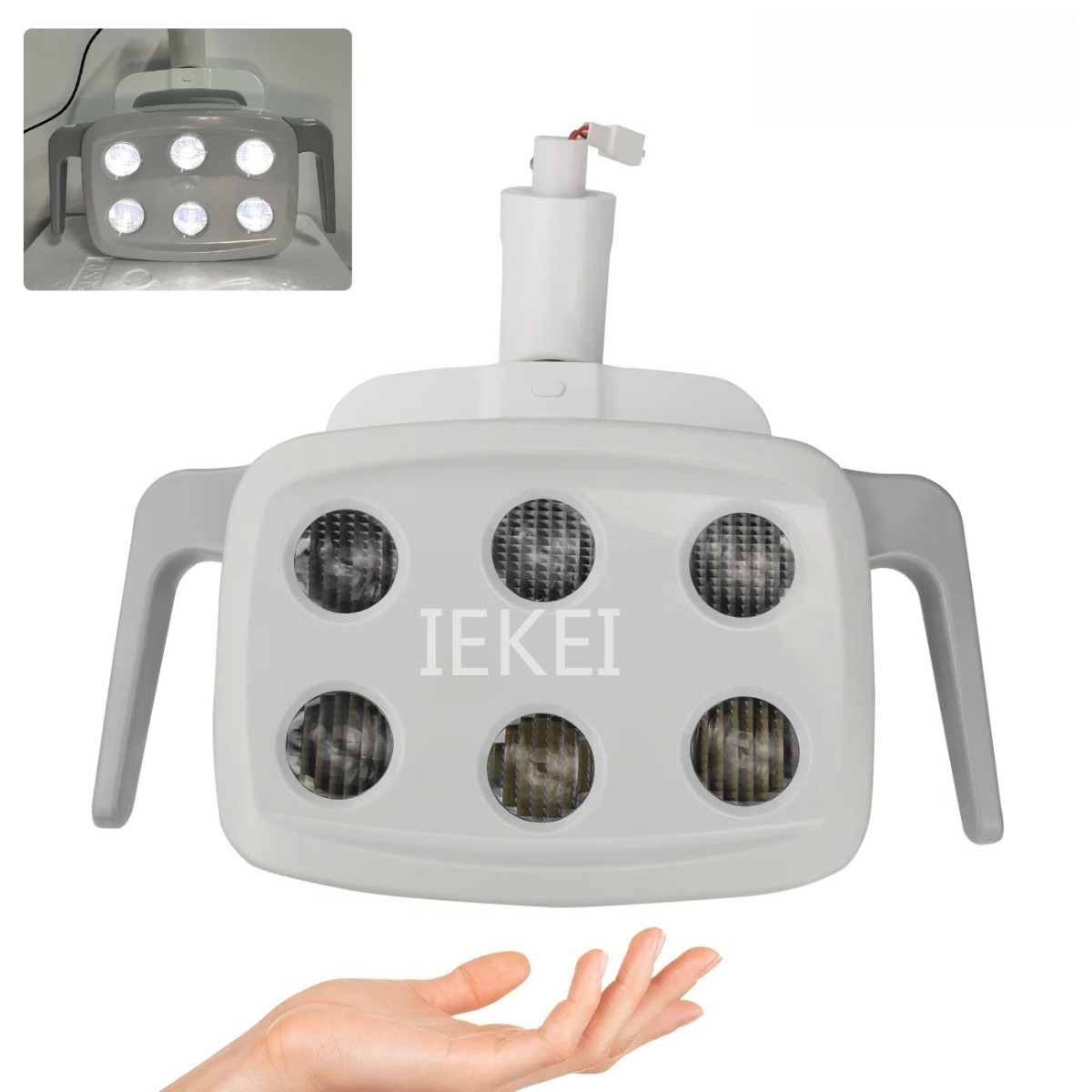 6LED Dental Oral Light Suitabl - Teeth Whitening Light のレビューと価格