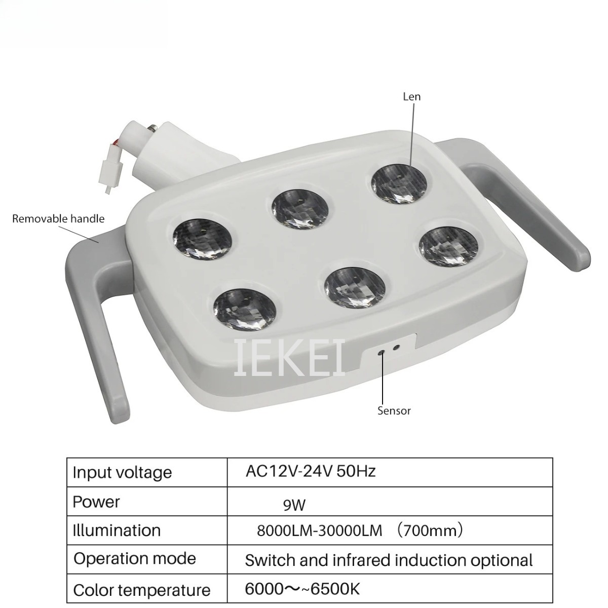 6LED Dental Oral Light Suitabl - Teeth Whitening Light のレビューと価格