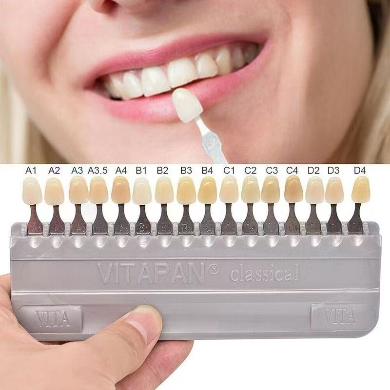 VITA 16 Colors Teeth Shade Gui - Teeth Whitening Professional のレビューと価格