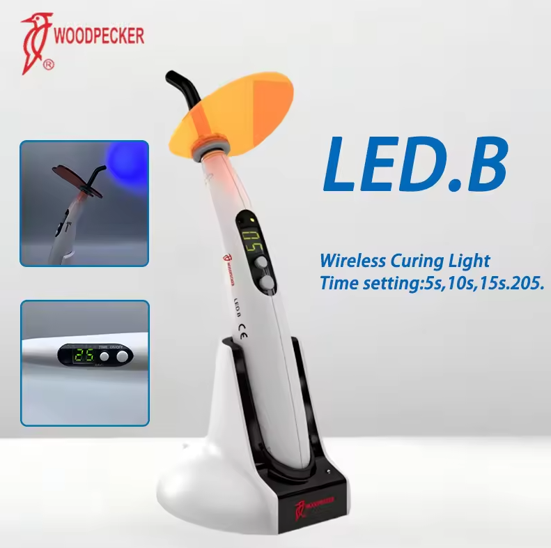 Dental Curing Light Woodpecker - Teeth Whitening Light のレビューと価格