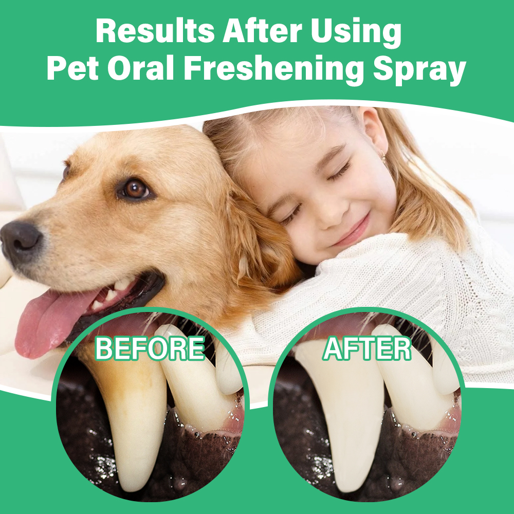Ulroyda Pet Oral Freshening Sp - Teeth Whitening Cream のレビューと価格