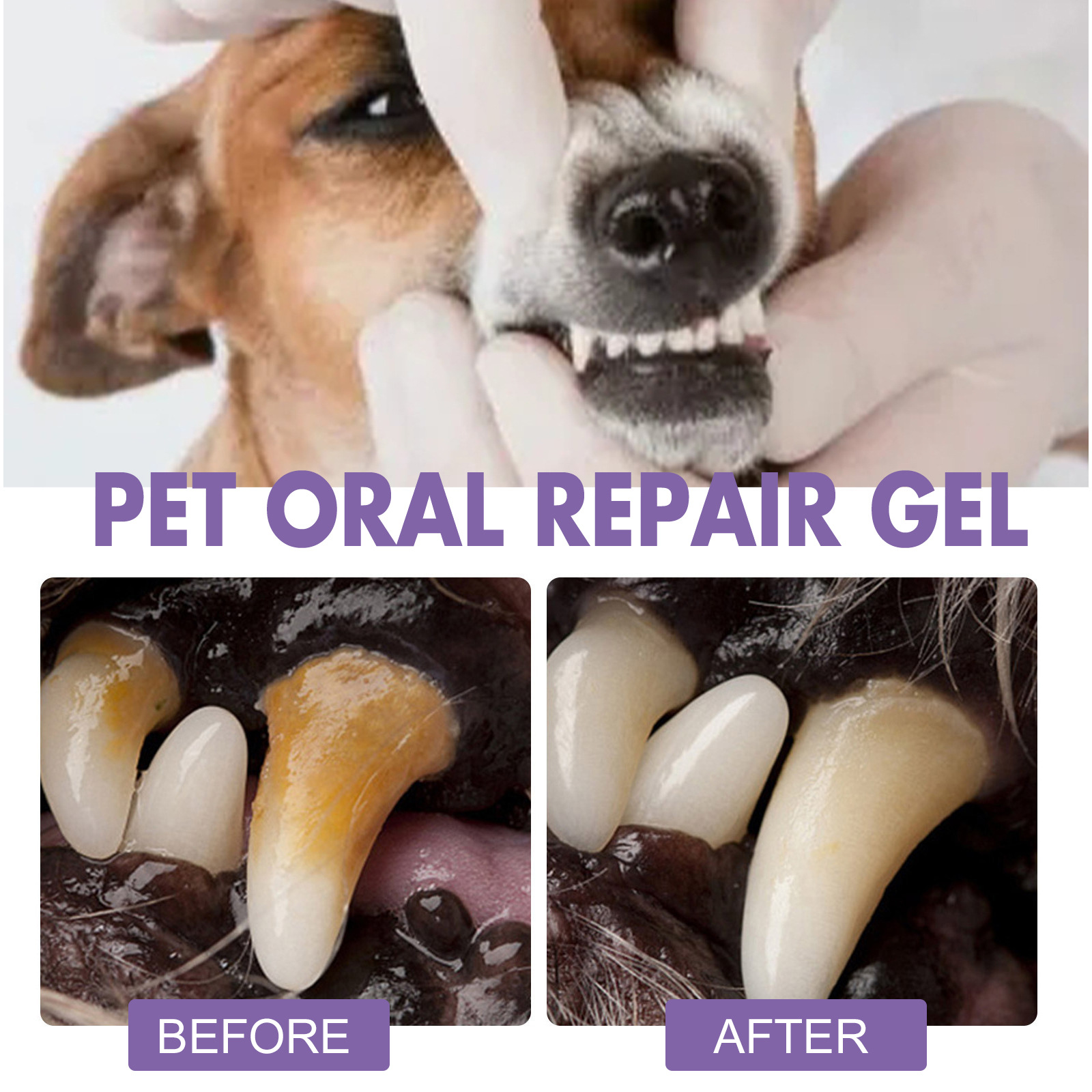 Pet Oral Repair Gel Puppy Tart - Teeth Whitening With Hydrogen Peroxide のレビューと価格