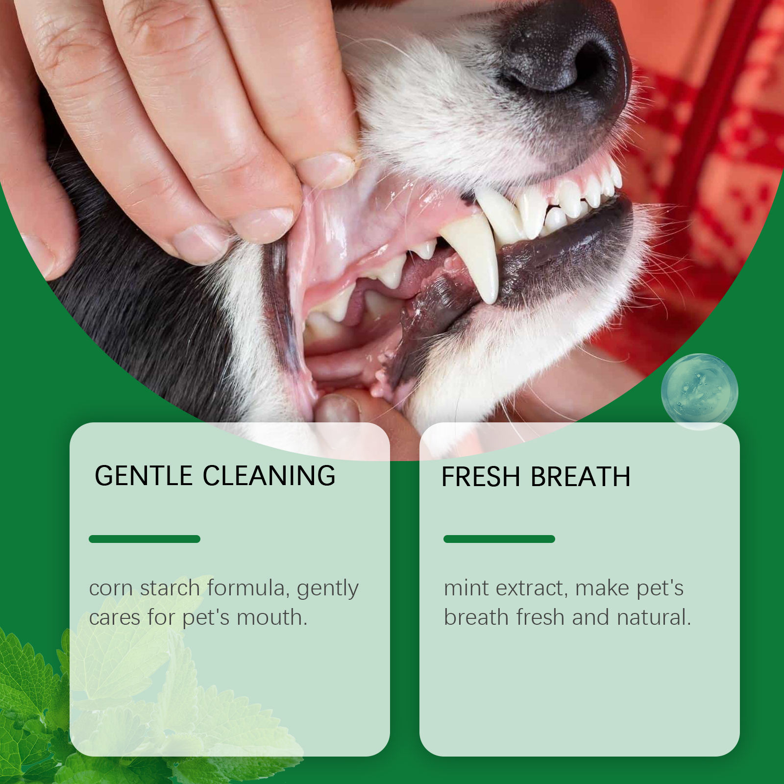 Pet Teeth Cleaning Powder Redu - Teeth Whitening Q&M のレビューと価格