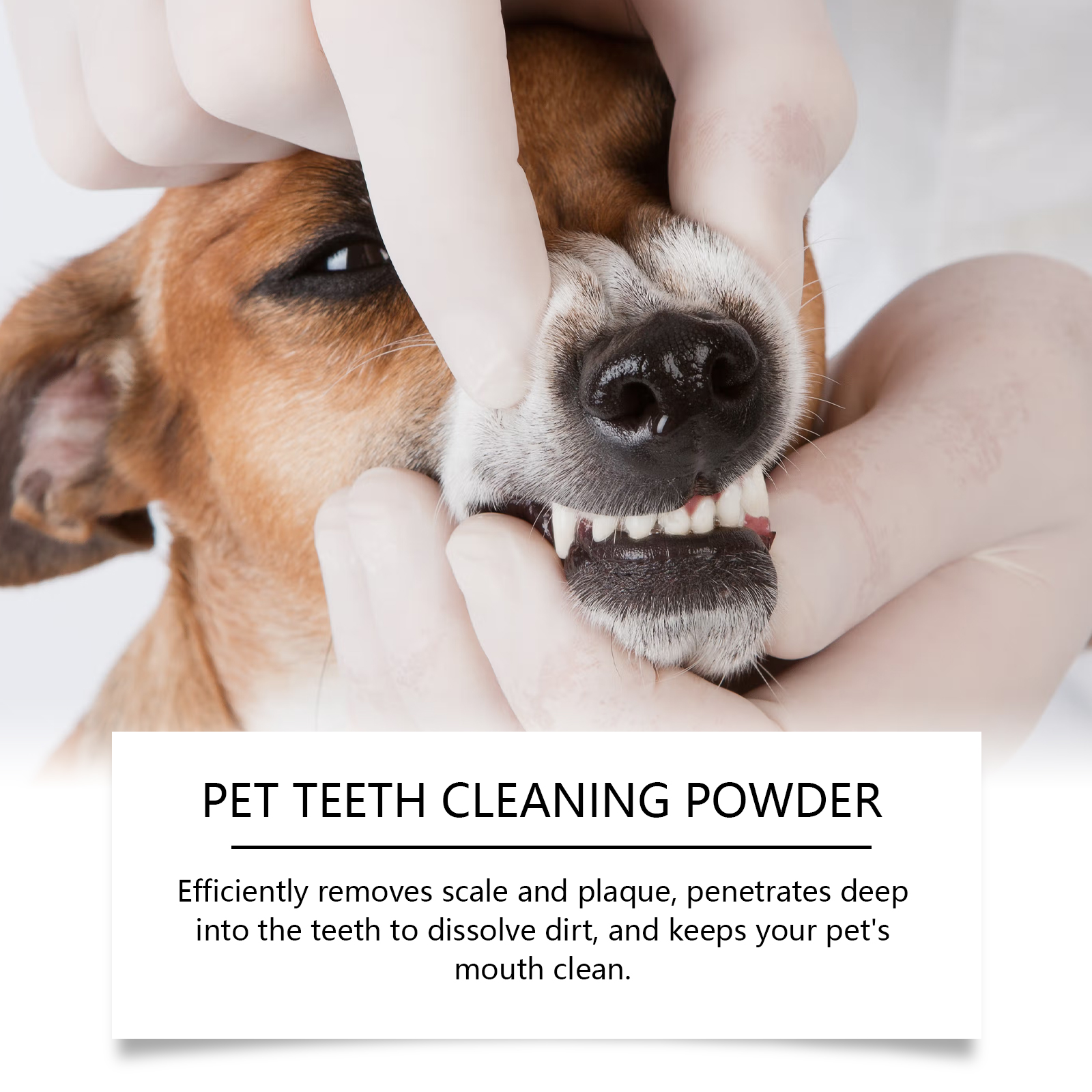Pet Teeth Cleaning Powder Redu - Teeth Whitening Q&M のレビューと価格