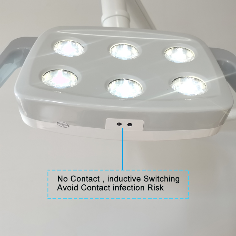 6LED Dental LED Lamp Oral Ligh - Teeth Whitening Light のレビューと価格
