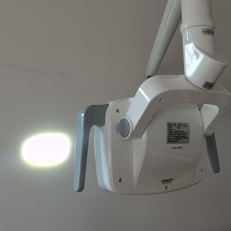 6LED Dental LED Lamp Oral Ligh - Teeth Whitening Light のレビューと価格