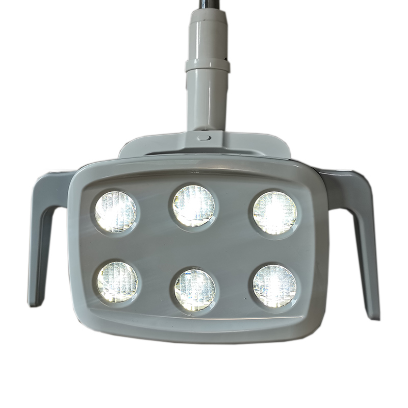 6LED Dental LED Lamp Oral Ligh - Teeth Whitening Light のレビューと価格