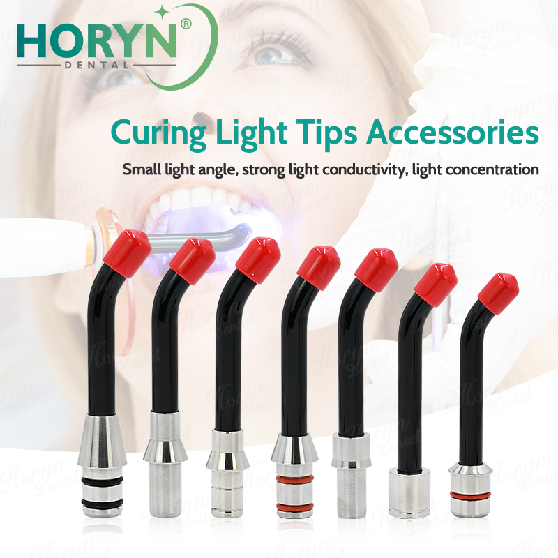 Dental LED Curing Light Guide  - Teeth Whitening Light のレビューと価格