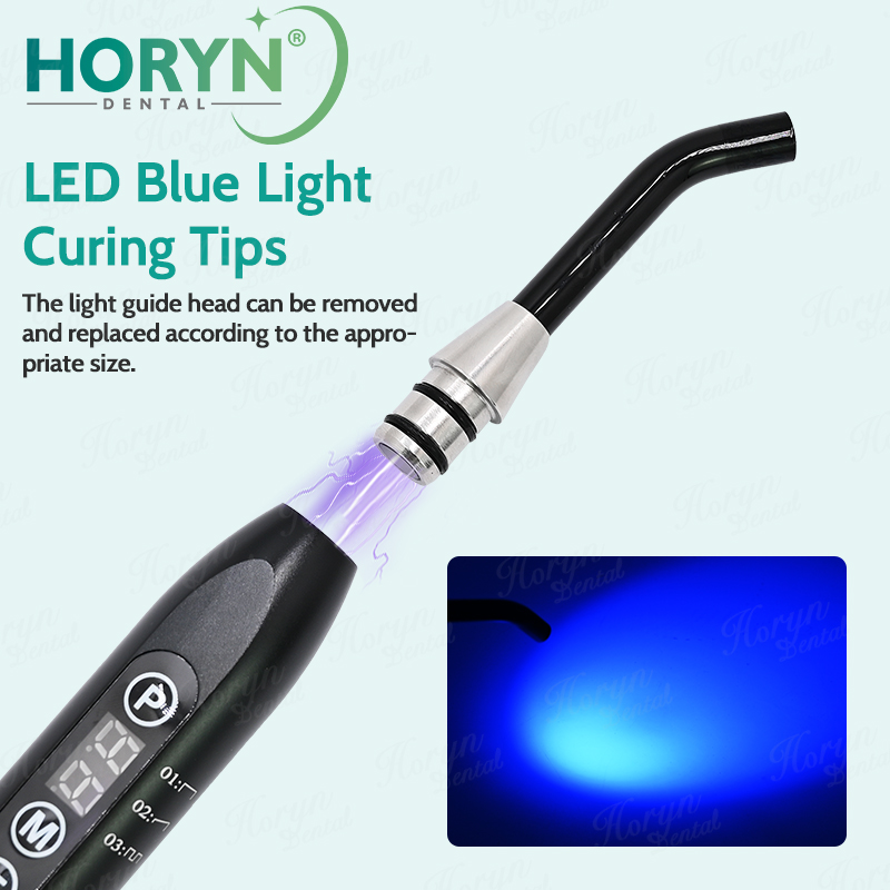 Dental LED Curing Light Guide  - Teeth Whitening Light のレビューと価格